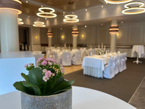 Eleganter Veranstaltungsraum mit weißen Tischdecken und blühender Pflanze im Vordergrund.